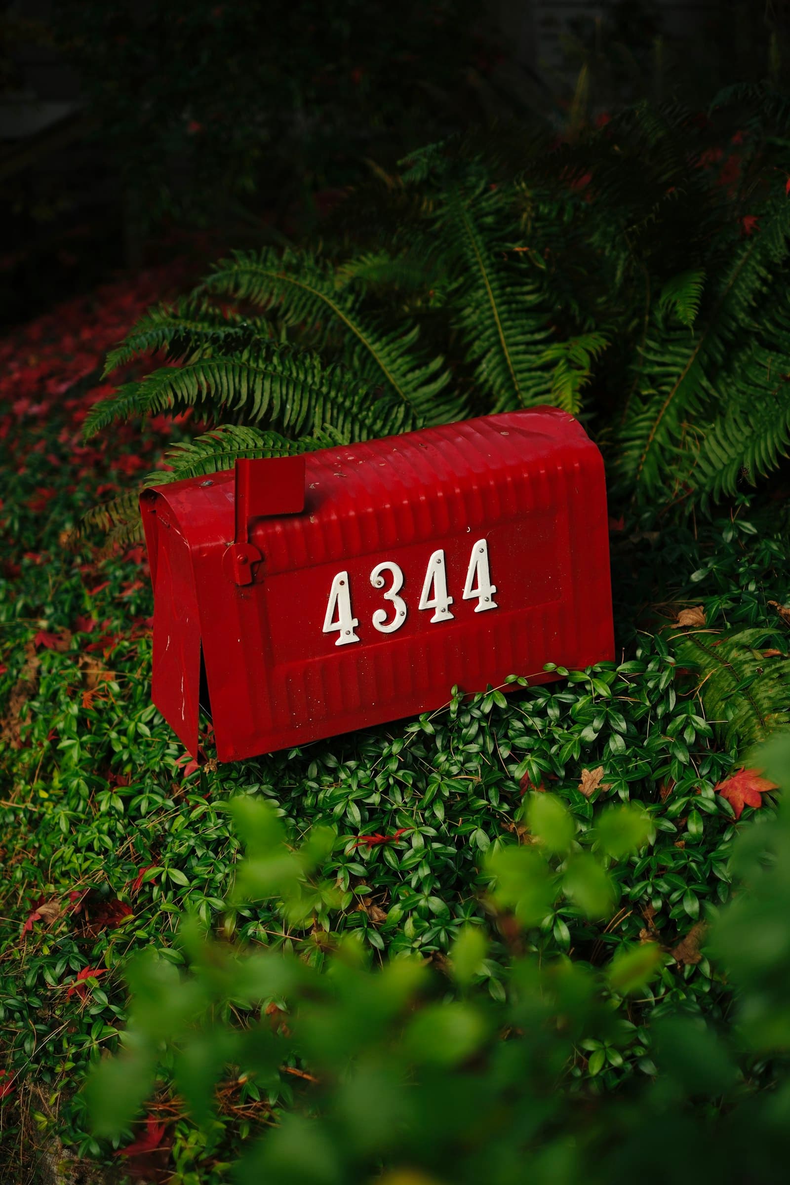 Custom red mailbox with house numbers surrounded by greenery